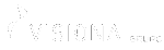 Logo Visiona E-Solutions